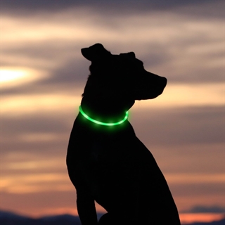 Silikone hundehalsbånd med lys - Genopladelig
